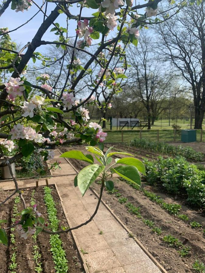 Cascina Bellaria Vandrarhem Milano Exteriör bild